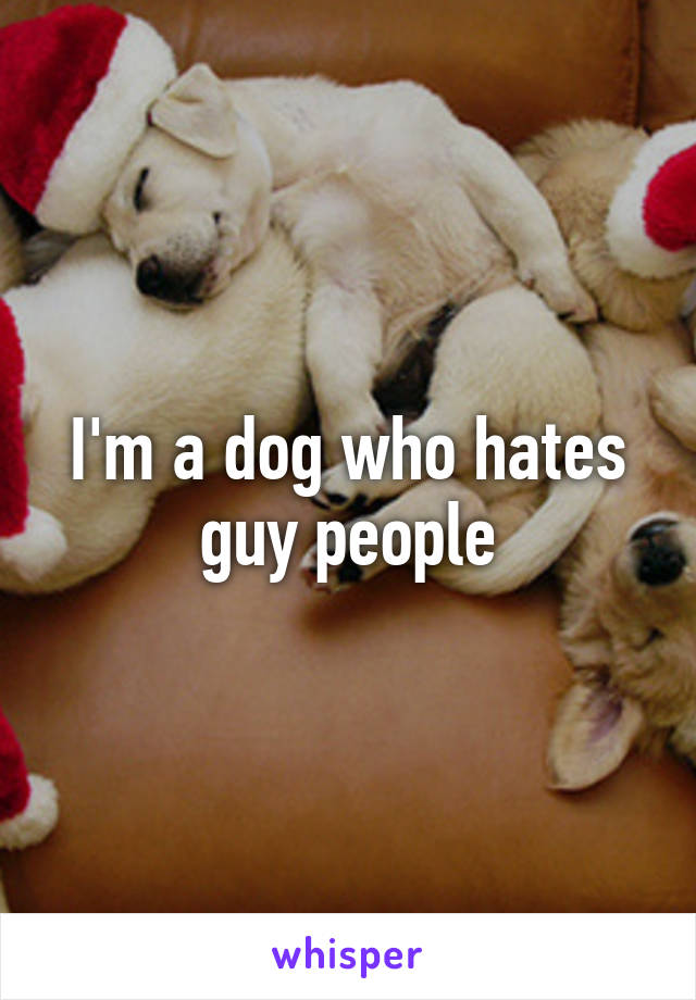 I'm a dog who hates guy people