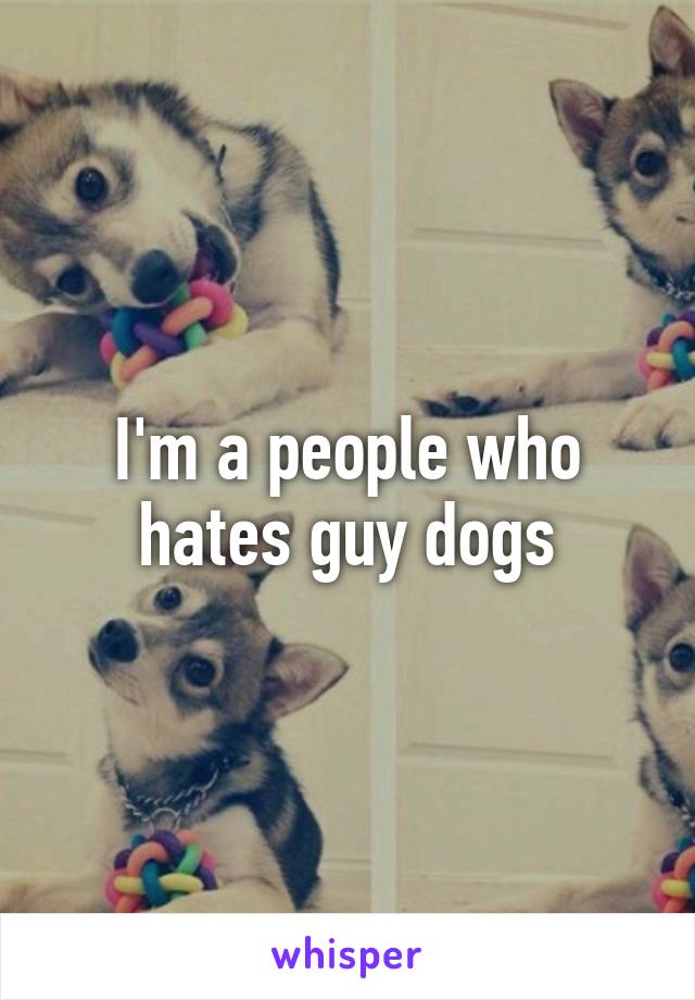 I'm a people who hates guy dogs