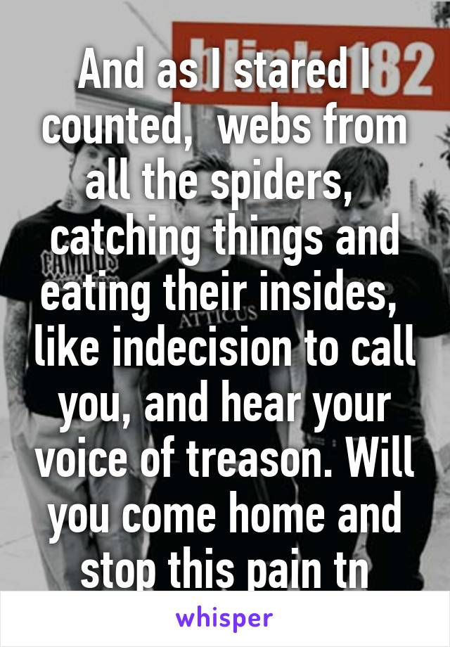 And as I stared I counted,  webs from all the spiders,  catching things and eating their insides,  like indecision to call you, and hear your voice of treason. Will you come home and stop this pain tn