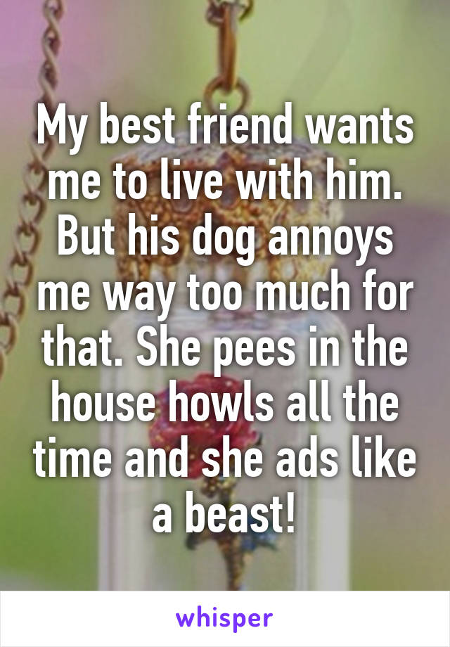 My best friend wants me to live with him. But his dog annoys me way too much for that. She pees in the house howls all the time and she ads like a beast!