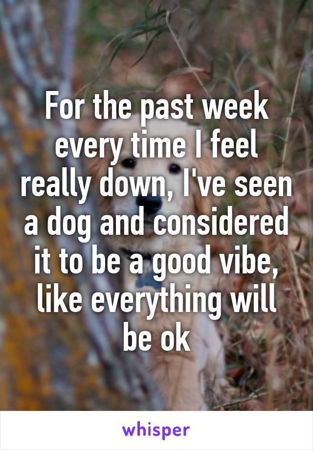 For the past week every time I feel really down, I've seen a dog and considered it to be a good vibe, like everything will be ok