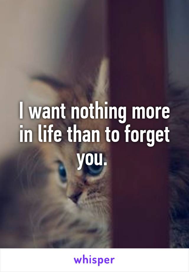 I want nothing more in life than to forget you. 