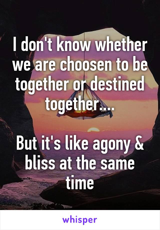 I don't know whether we are choosen to be together or destined together....

But it's like agony & bliss at the same time