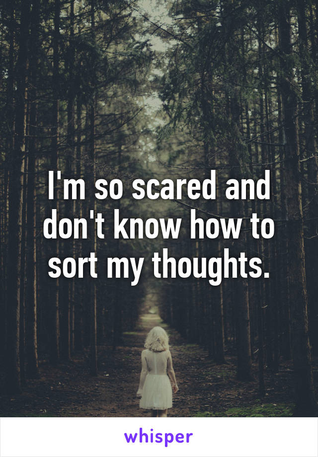 I'm so scared and don't know how to sort my thoughts.