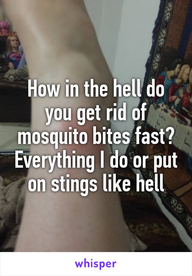 How in the hell do you get rid of mosquito bites fast? Everything I do or put on stings like hell