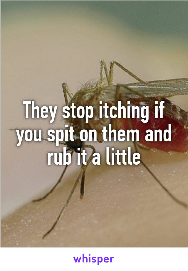 They stop itching if you spit on them and rub it a little