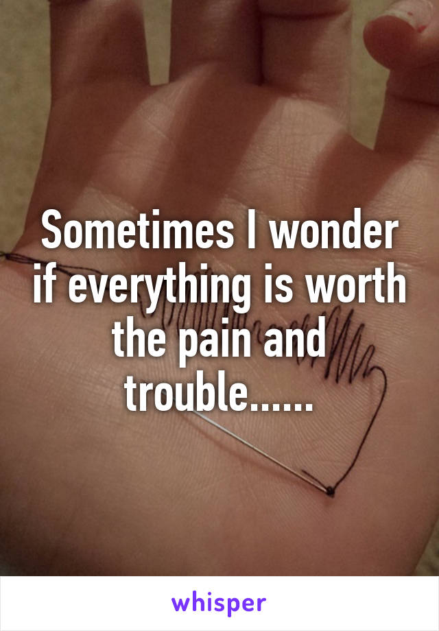 Sometimes I wonder if everything is worth the pain and trouble......