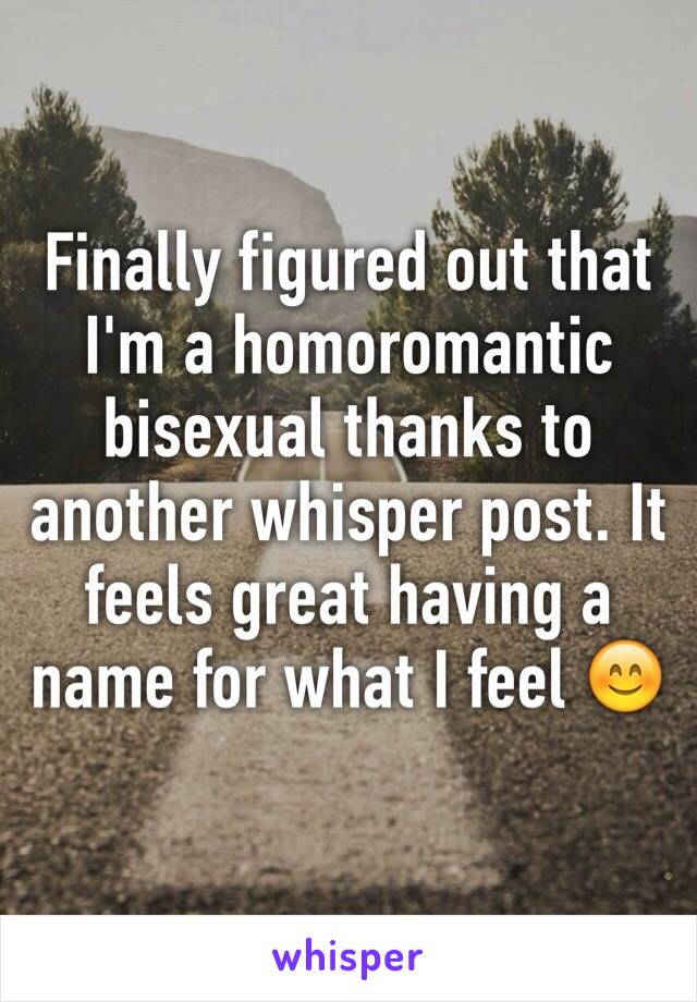 Finally figured out that I'm a homoromantic bisexual thanks to another whisper post. It feels great having a name for what I feel 😊