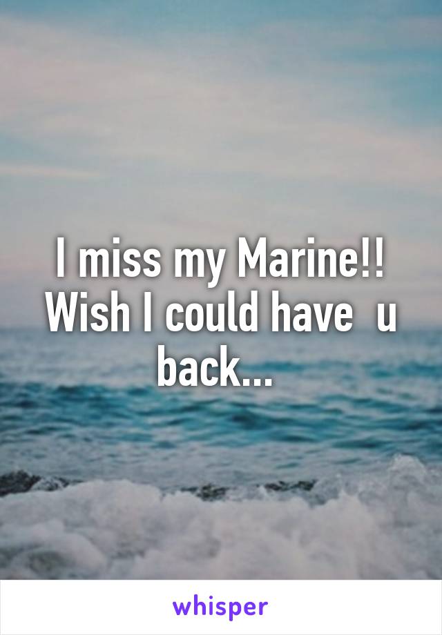 I miss my Marine!! Wish I could have  u back... 