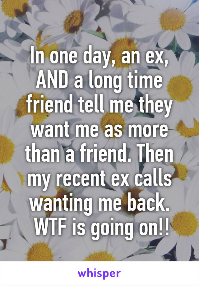 In one day, an ex, AND a long time friend tell me they want me as more than a friend. Then my recent ex calls wanting me back.
 WTF is going on!!