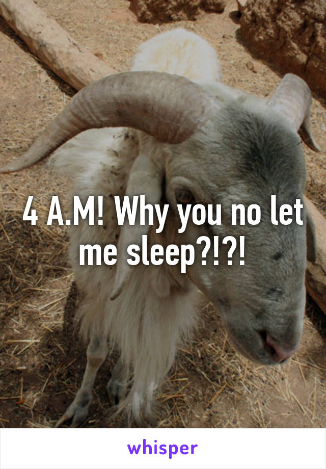 4 A.M! Why you no let me sleep?!?!