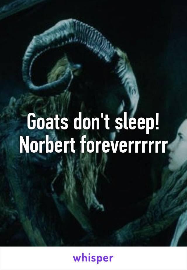 Goats don't sleep! Norbert foreverrrrrr