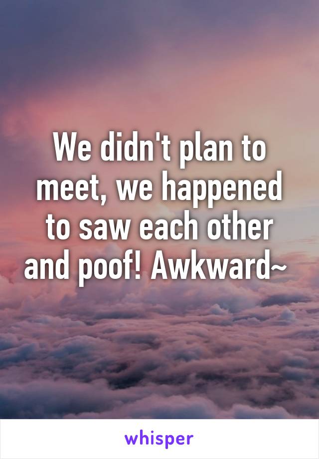 We didn't plan to meet, we happened to saw each other and poof! Awkward~  