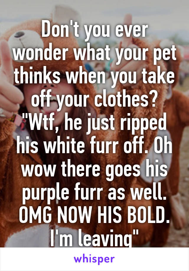 Don't you ever wonder what your pet thinks when you take off your clothes? "Wtf, he just ripped his white furr off. Oh wow there goes his purple furr as well. OMG NOW HIS BOLD. I'm leaving"