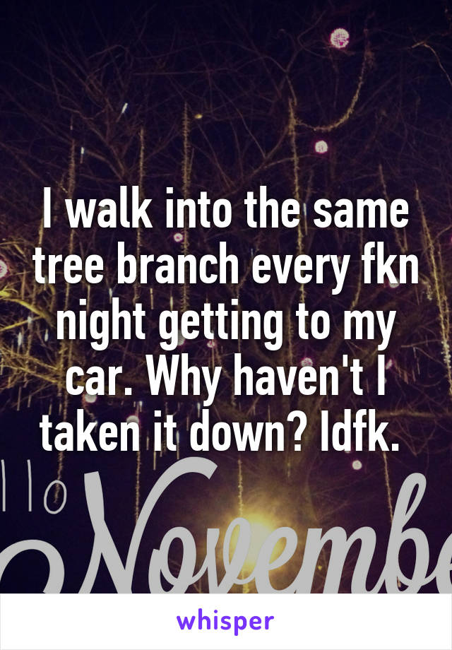 I walk into the same tree branch every fkn night getting to my car. Why haven't I taken it down? Idfk. 