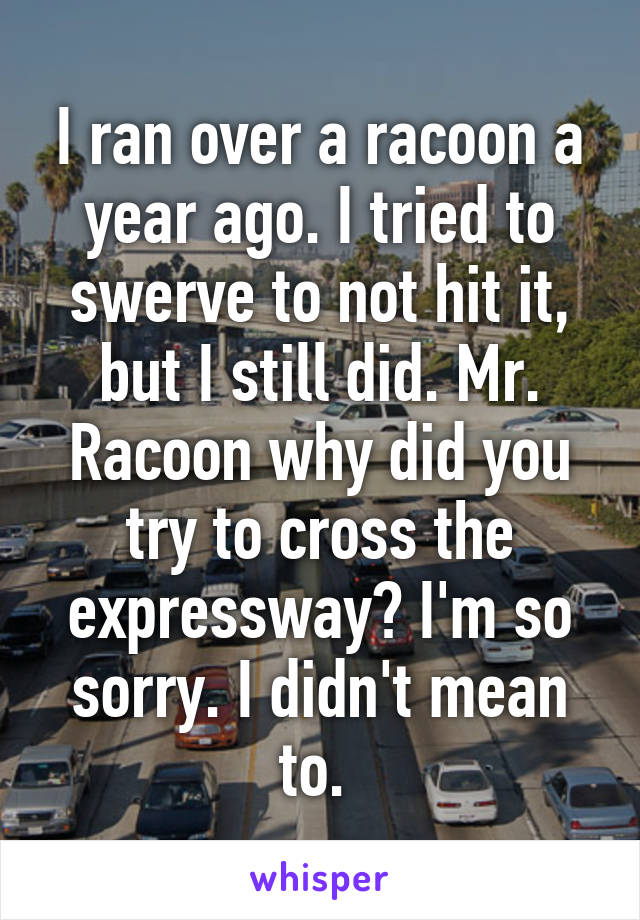 I ran over a racoon a year ago. I tried to swerve to not hit it, but I still did. Mr. Racoon why did you try to cross the expressway? I'm so sorry. I didn't mean to. 