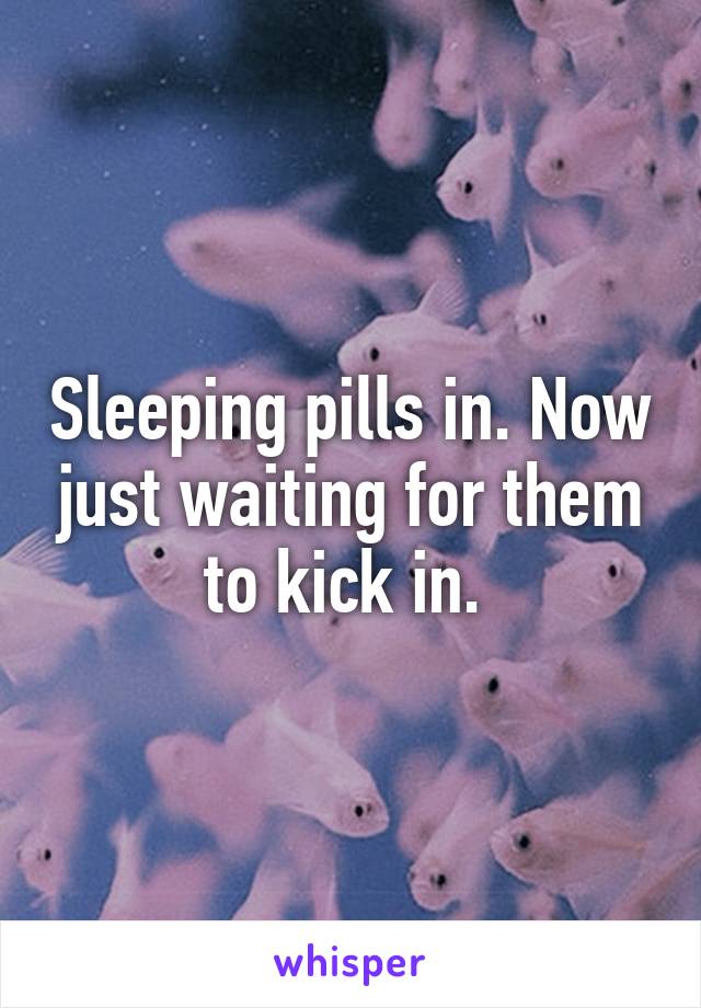 Sleeping pills in. Now just waiting for them to kick in. 