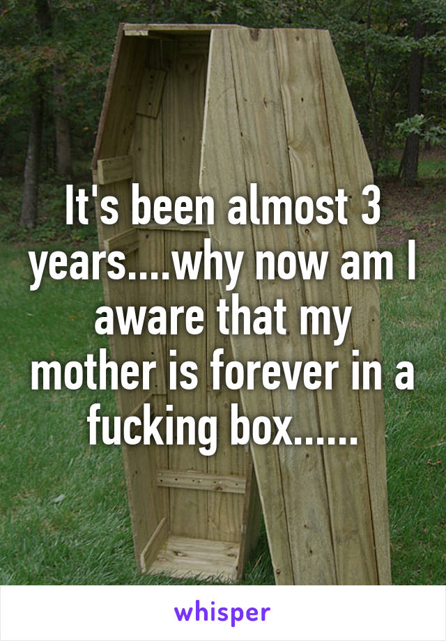 It's been almost 3 years....why now am I aware that my mother is forever in a fucking box......