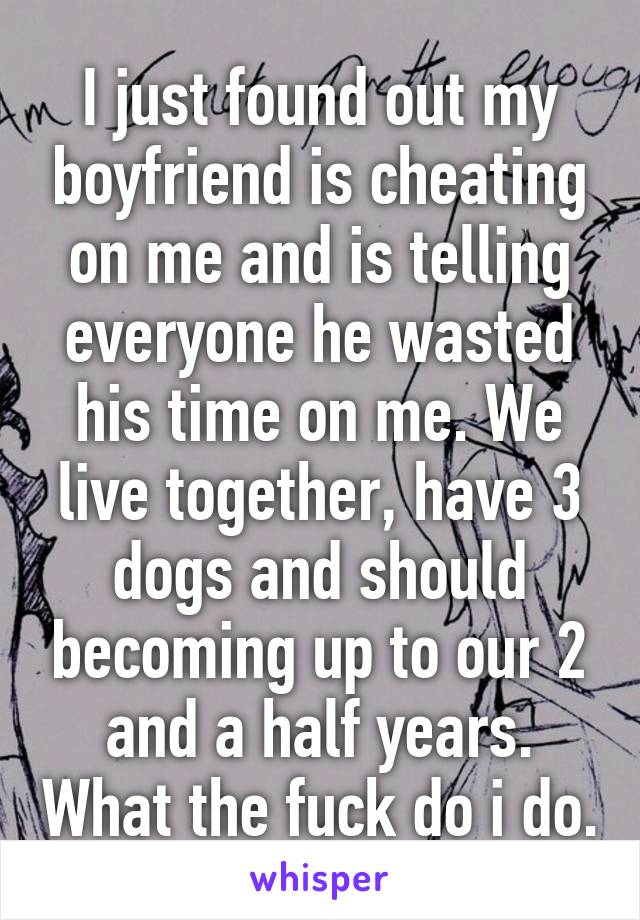 I just found out my boyfriend is cheating on me and is telling everyone he wasted his time on me. We live together, have 3 dogs and should becoming up to our 2 and a half years. What the fuck do i do.