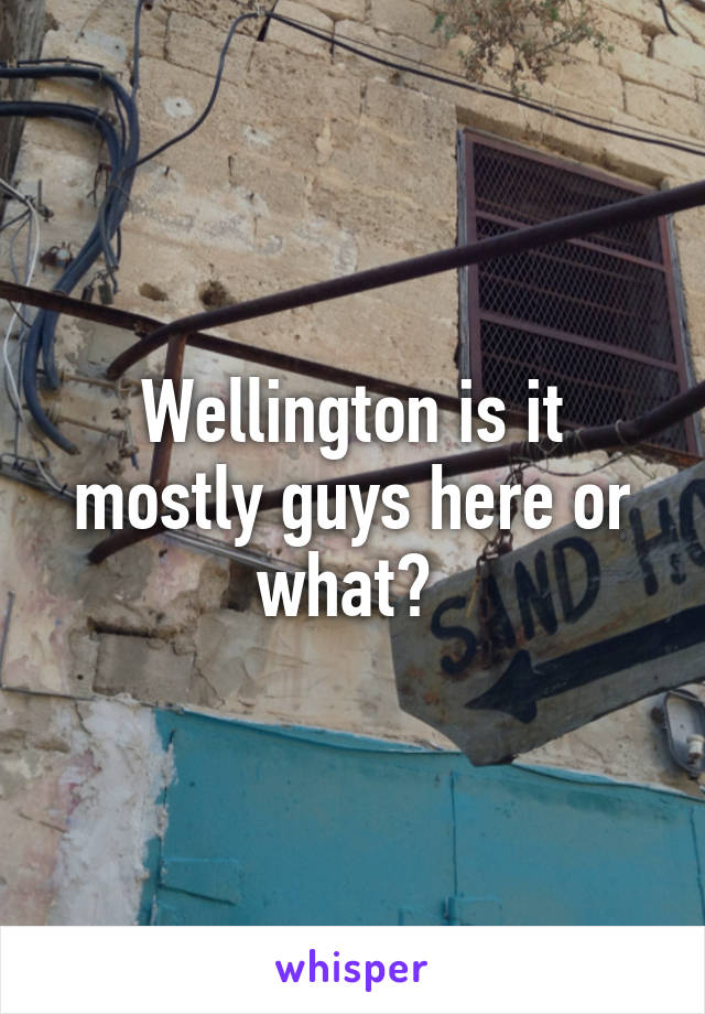 Wellington is it mostly guys here or what? 