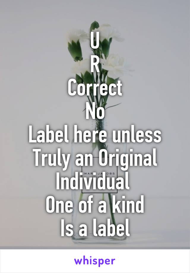 U
R
Correct
No
Label here unless
Truly an Original
Individual 
One of a kind
Is a label