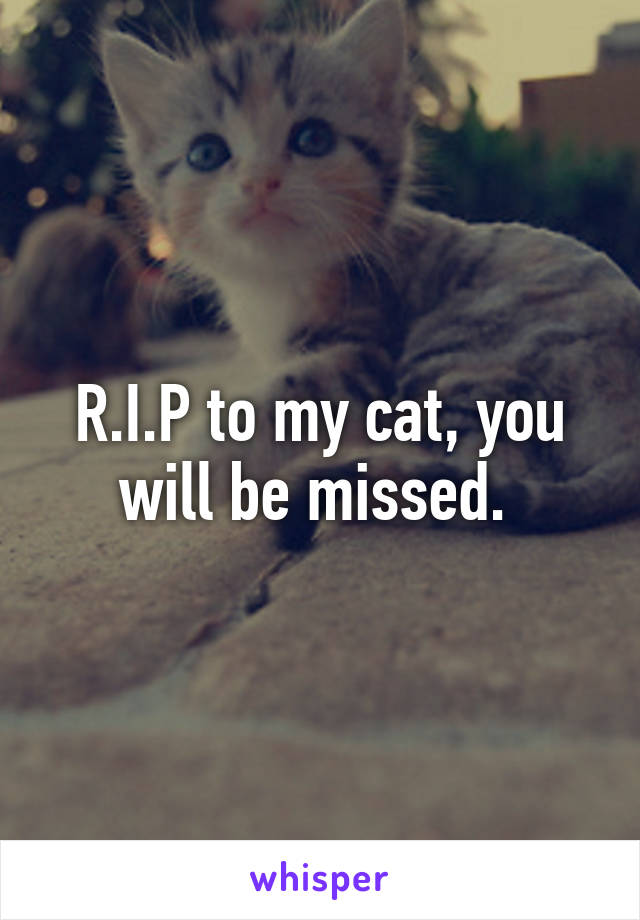 R.I.P to my cat, you will be missed. 