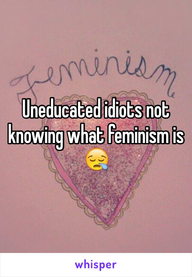 Uneducated idiots not knowing what feminism is 😪