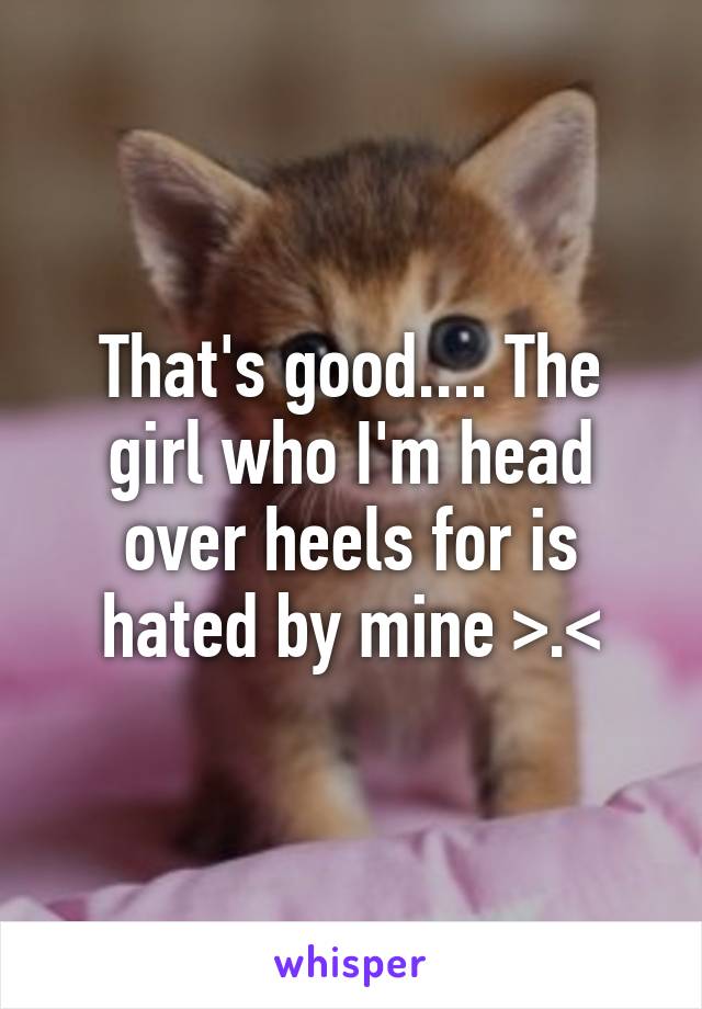 That's good.... The girl who I'm head over heels for is hated by mine >.<