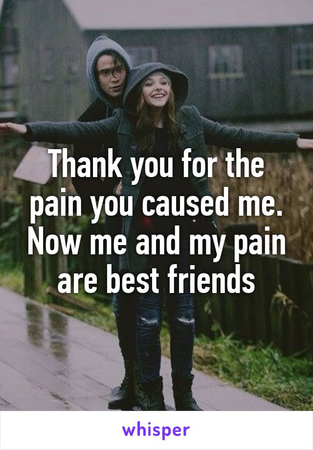 Thank you for the pain you caused me. Now me and my pain are best friends