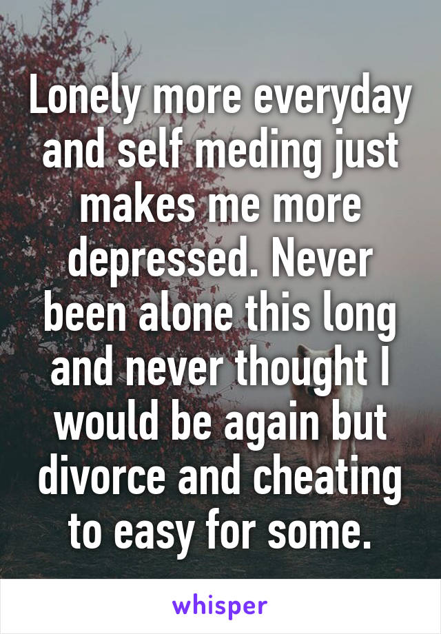 Lonely more everyday and self meding just makes me more depressed. Never been alone this long and never thought I would be again but divorce and cheating to easy for some.