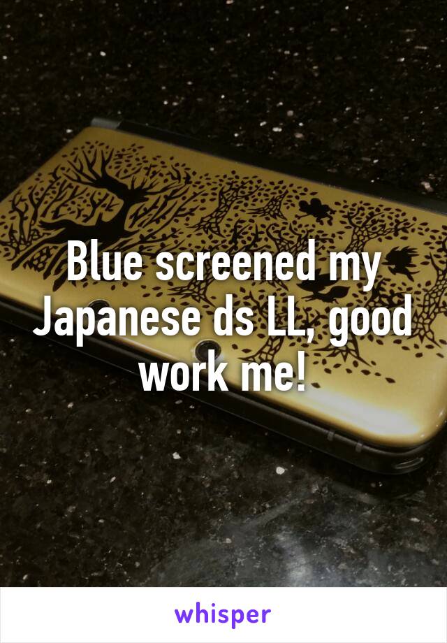 Blue screened my Japanese ds LL, good work me!