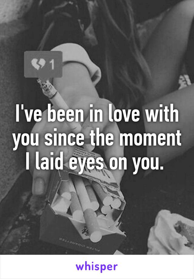 I've been in love with you since the moment I laid eyes on you. 