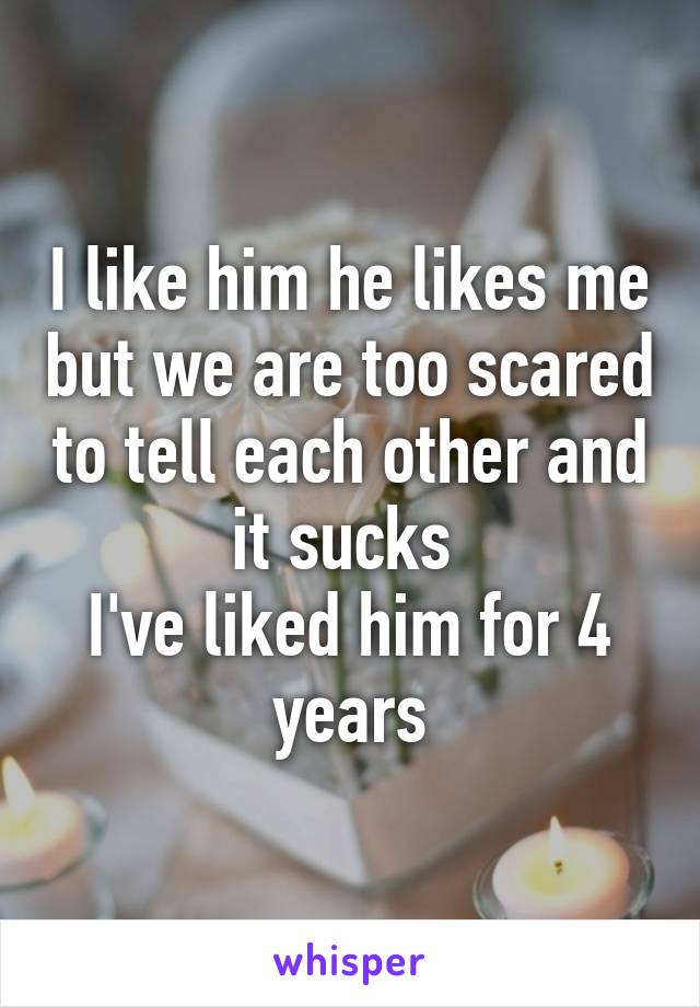 I like him he likes me but we are too scared to tell each other and it sucks 
I've liked him for 4 years