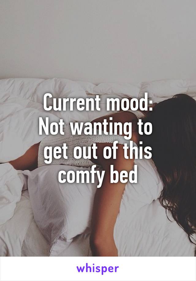 Current mood:
Not wanting to 
get out of this
comfy bed