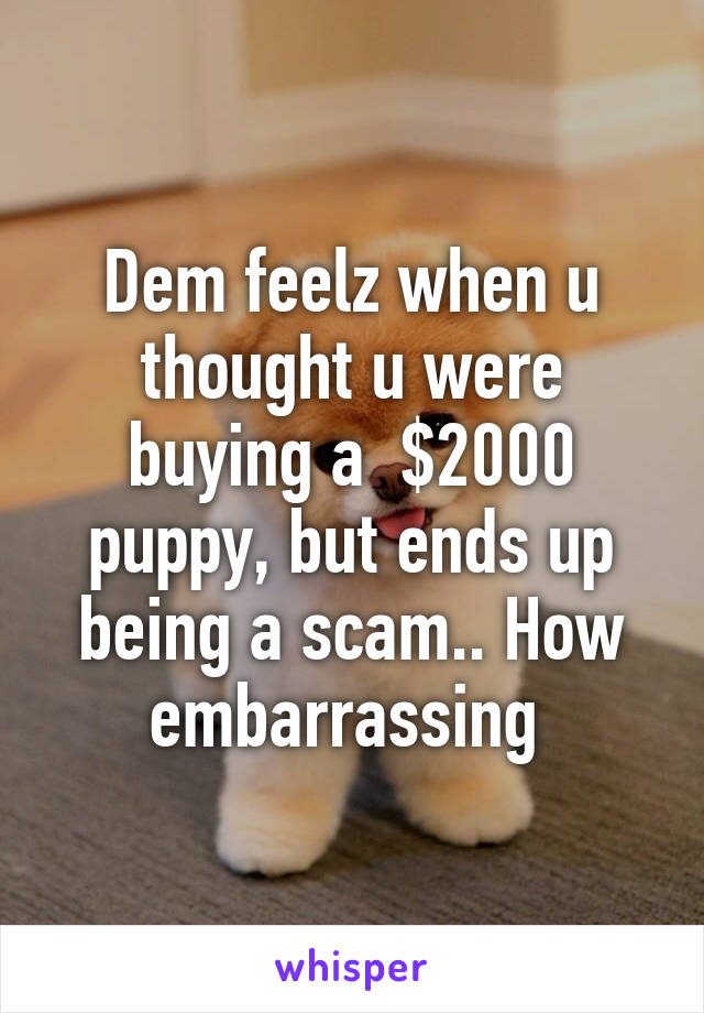 Dem feelz when u thought u were buying a  $2000 puppy, but ends up being a scam.. How embarrassing 