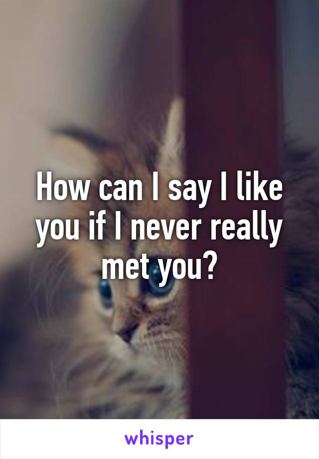 How can I say I like you if I never really met you?