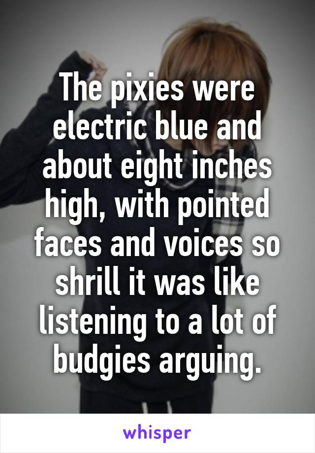 The pixies were electric blue and about eight inches high, with pointed faces and voices so shrill it was like listening to a lot of budgies arguing.