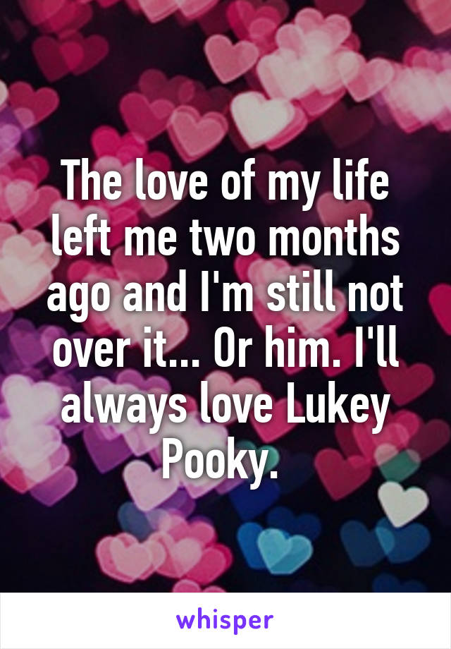 The love of my life left me two months ago and I'm still not over it... Or him. I'll always love Lukey Pooky. 