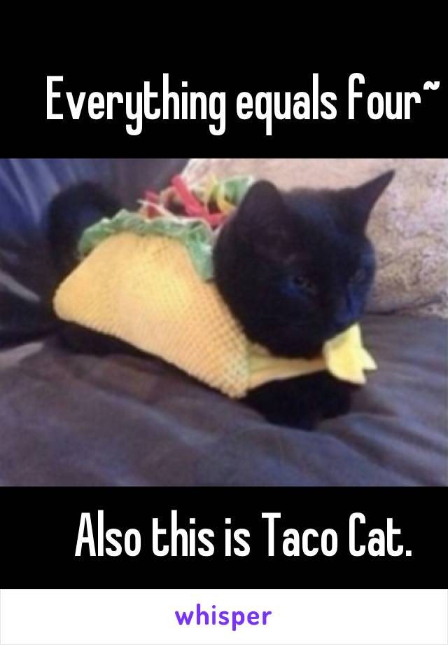 Everything equals four~






Also this is Taco Cat.