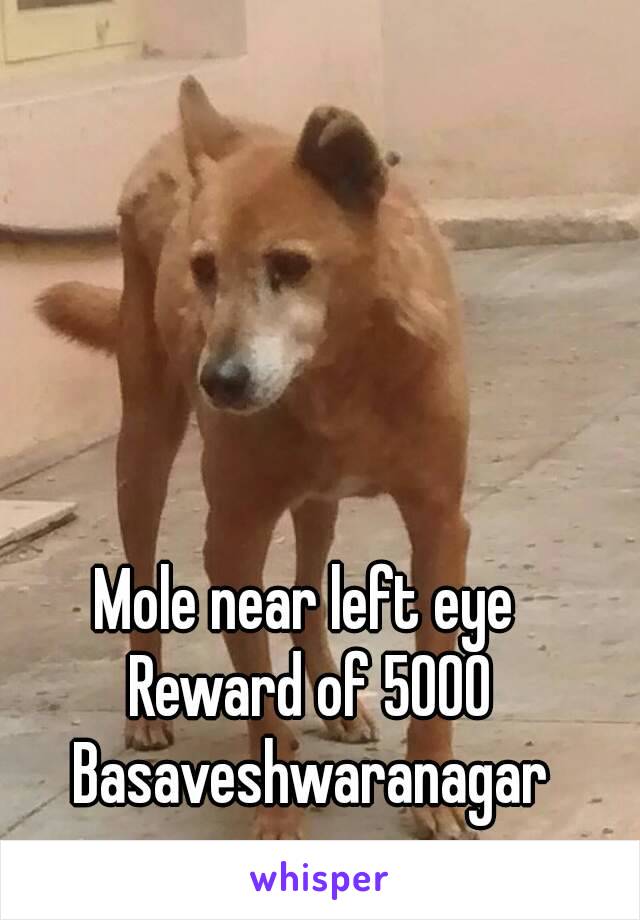 Mole near left eye 
Reward of 5000
Basaveshwaranagar