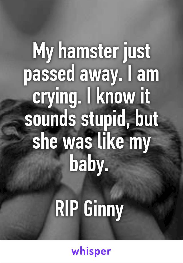 My hamster just passed away. I am crying. I know it sounds stupid, but she was like my baby. 

RIP Ginny 