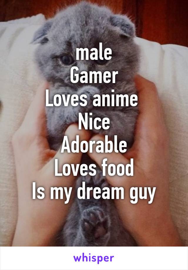 male
Gamer
Loves anime 
Nice
Adorable
Loves food
Is my dream guy
