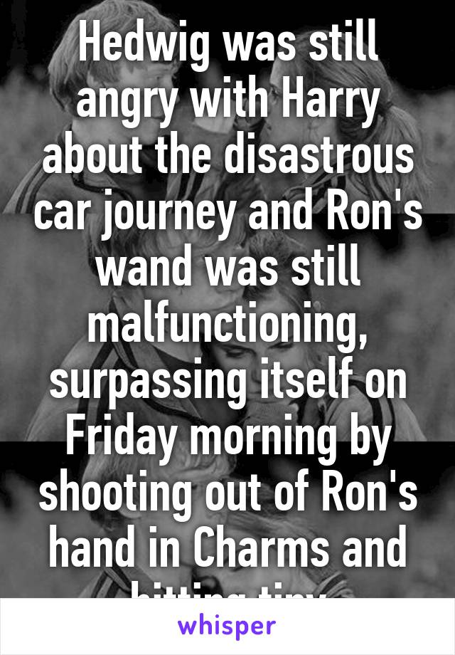 Hedwig was still angry with Harry about the disastrous car journey and Ron's wand was still malfunctioning, surpassing itself on Friday morning by shooting out of Ron's hand in Charms and hitting tiny