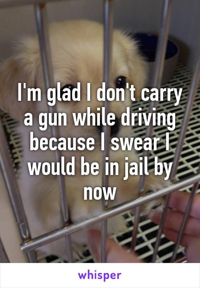 I'm glad I don't carry a gun while driving because I swear I would be in jail by now