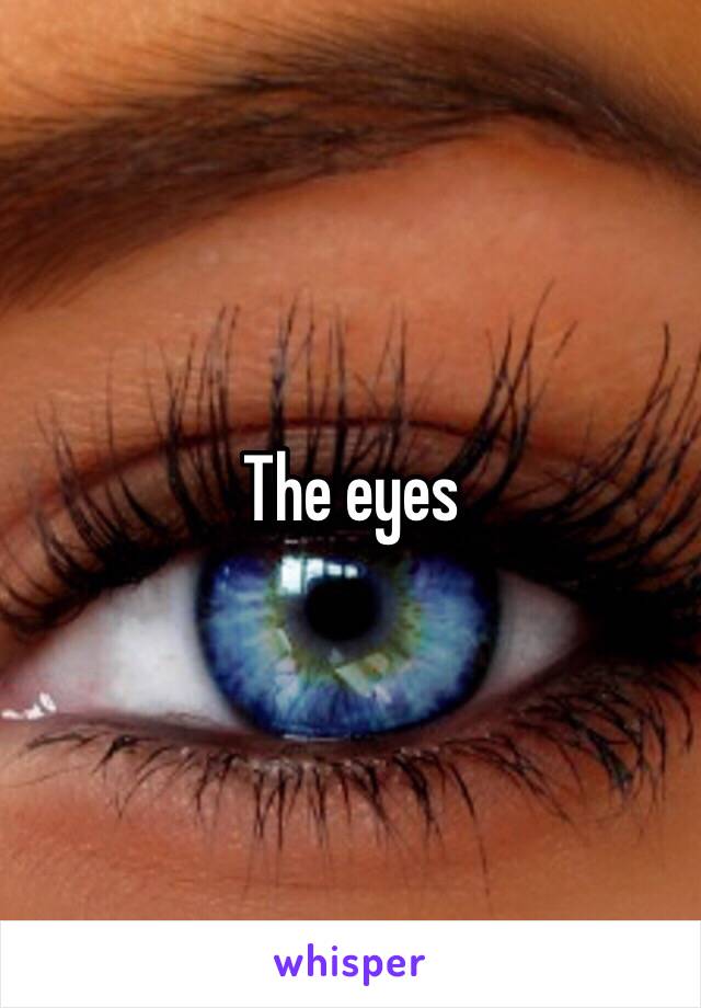 The eyes 