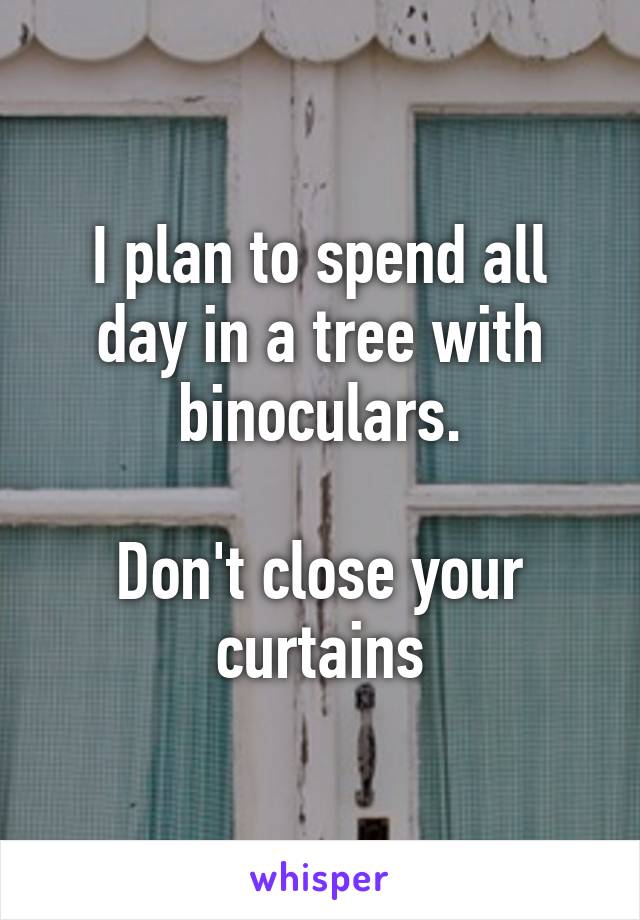 I plan to spend all day in a tree with binoculars.

Don't close your curtains