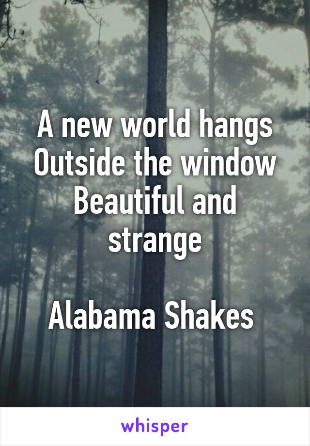 A new world hangs
Outside the window
Beautiful and strange

Alabama Shakes 