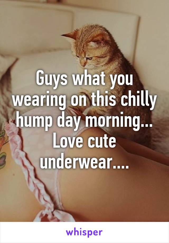 Guys what you wearing on this chilly hump day morning... Love cute underwear....