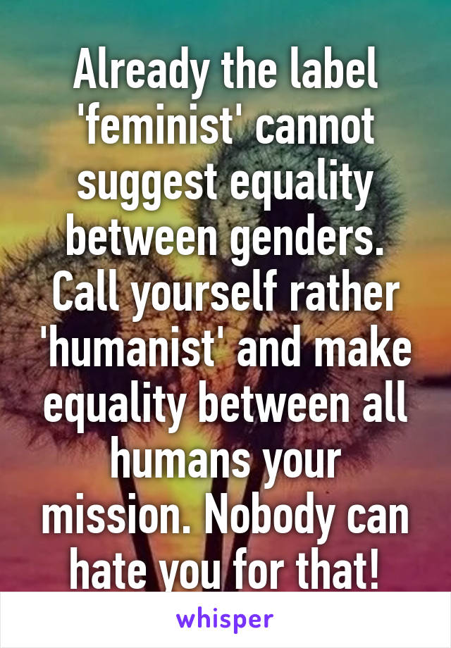 Already the label 'feminist' cannot suggest equality between genders. Call yourself rather 'humanist' and make equality between all humans your mission. Nobody can hate you for that!