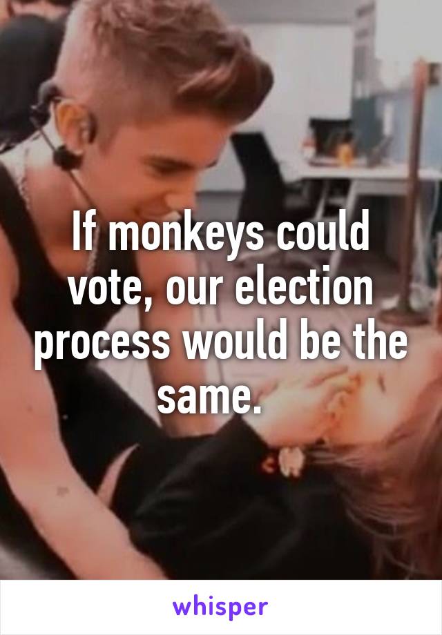 If monkeys could vote, our election process would be the same.  